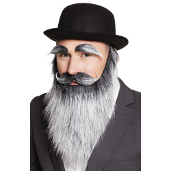 Šedivý plnovous s knírem a obočím